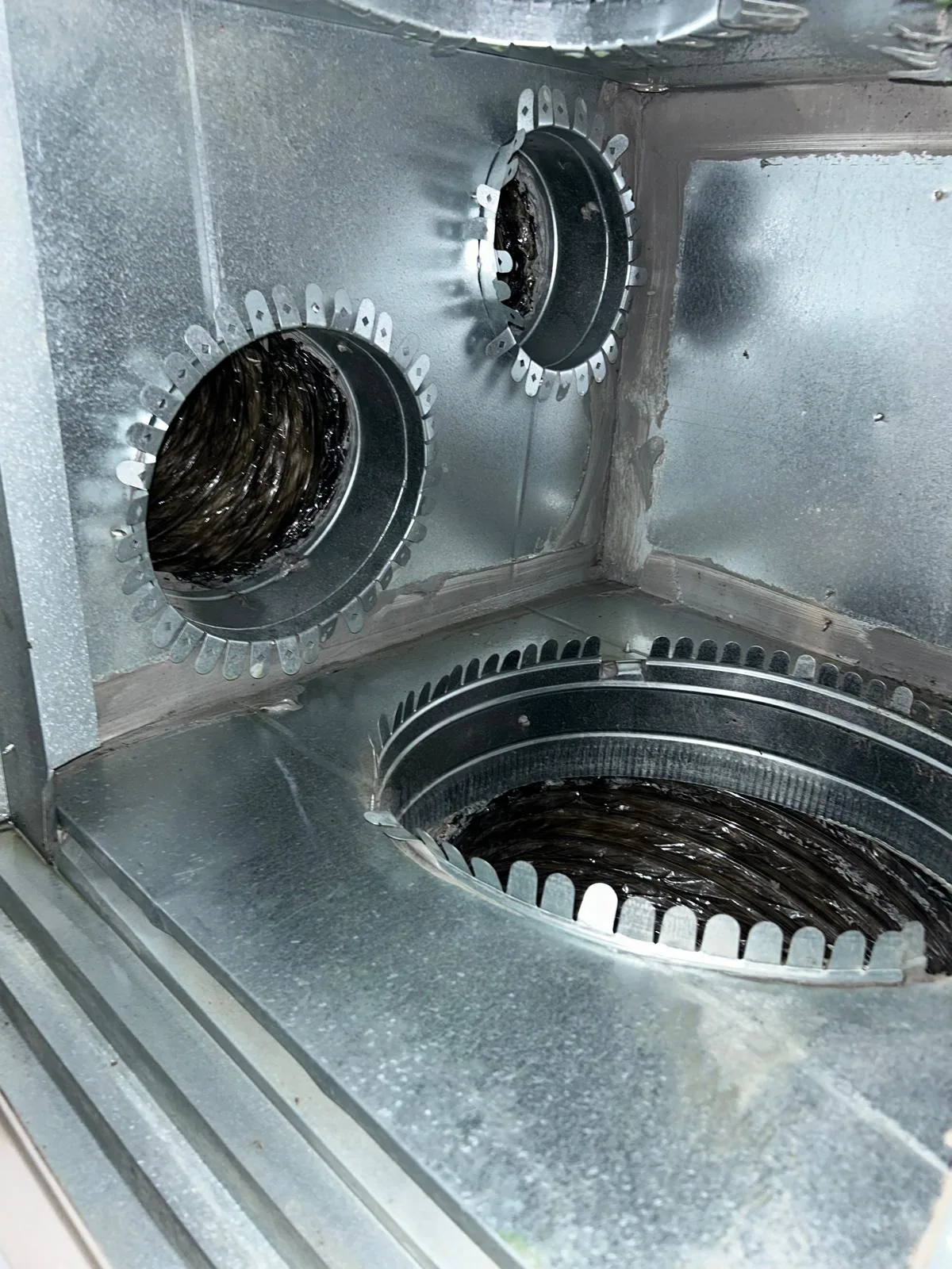 Camera Vent Inspection